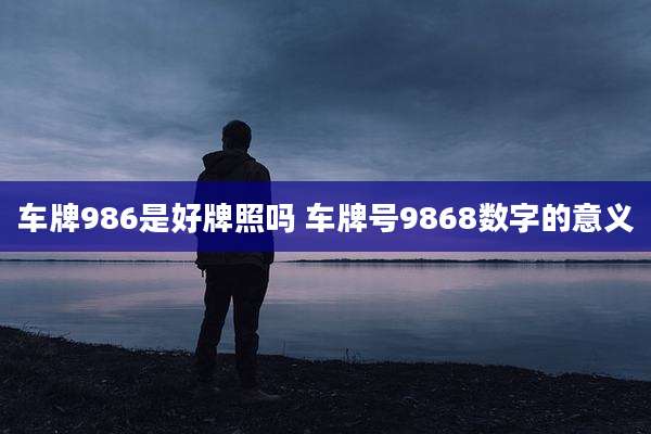 车牌986是好牌照吗 车牌号9868数字的意义