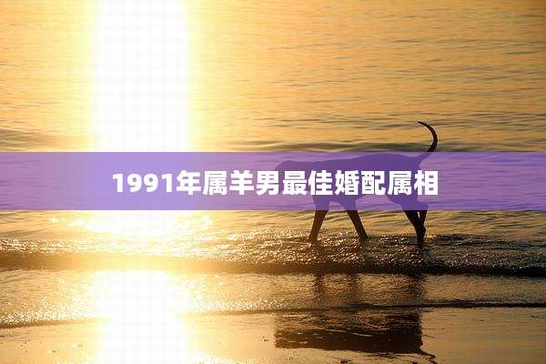 1991年属羊男最佳婚配属相