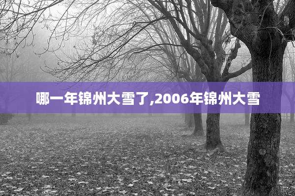 哪一年锦州大雪了,2006年锦州大雪