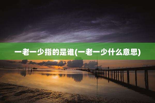 一老一少指的是谁(一老一少什么意思)