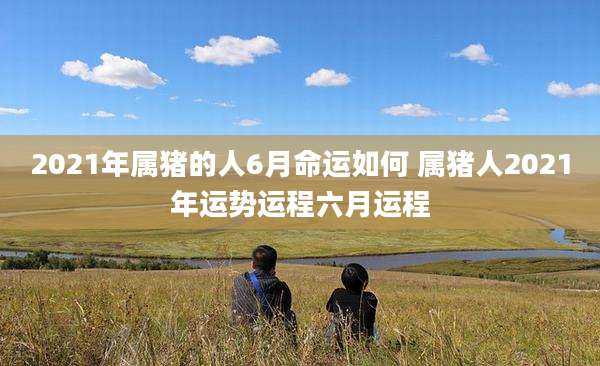 2021年属猪的人6月命运如何 属猪人2021年运势运程六月运程