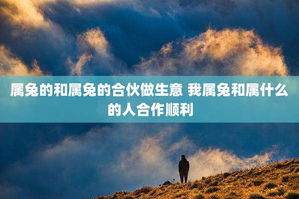 属兔的和属兔的合伙做生意 我属兔和属什么的人合作顺利