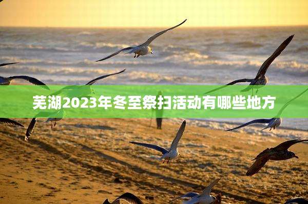 芜湖2023年冬至祭扫活动有哪些地方