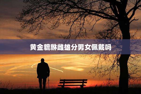 黄金貔貅雌雄分男女佩戴吗