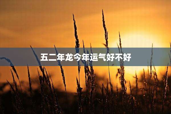 五二年龙今年运气好不好