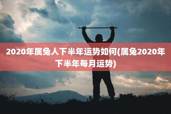 2020年属兔人下半年运势如何(属兔2020年下半年每月运势)