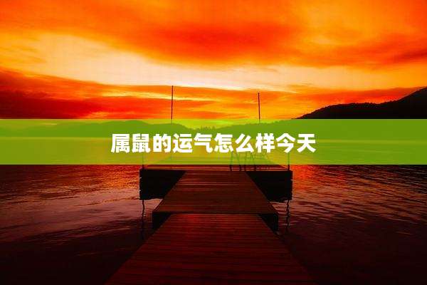 属鼠的运气怎么样今天