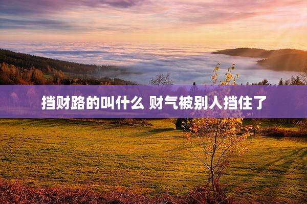 挡财路的叫什么 财气被别人挡住了