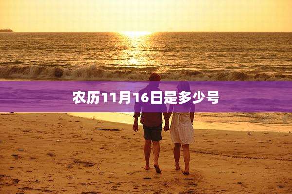 农历11月16日是多少号