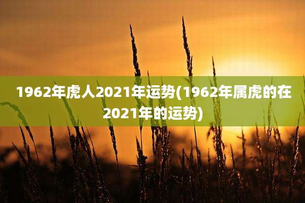 1962年虎人2021年运势(1962年属虎的在2021年的运势)