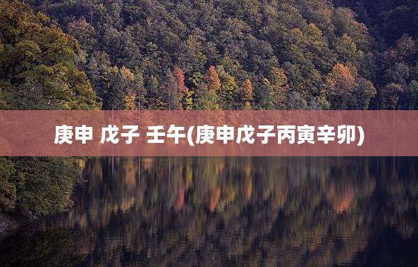 庚申 戊子 壬午(庚申戊子丙寅辛卯)