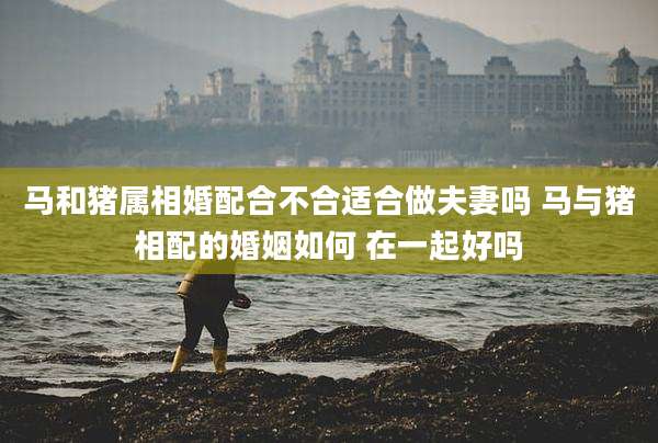马和猪属相婚配合不合适合做夫妻吗 马与猪相配的婚姻如何 在一起好吗