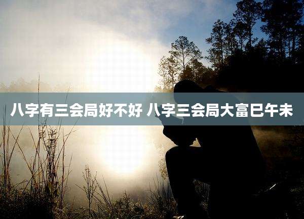 八字有三会局好不好 八字三会局大富巳午未