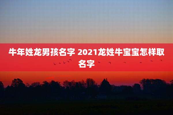 牛年姓龙男孩名字 2021龙姓牛宝宝怎样取名字