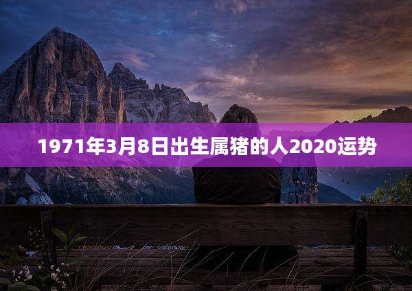 1971年3月8日出生属猪的人2020运势