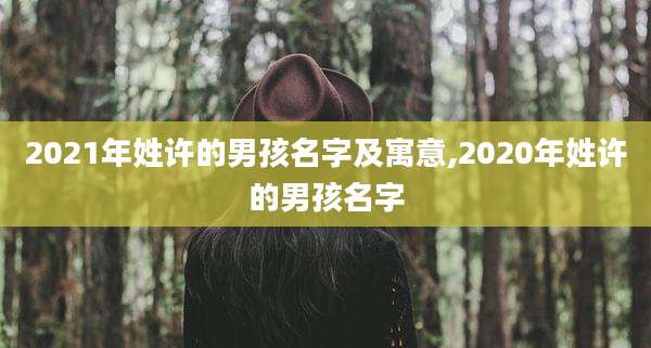 2021年姓许的男孩名字及寓意,2020年姓许的男孩名字