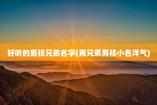 好听的男孩兄弟名字(两兄弟男孩小名洋气)