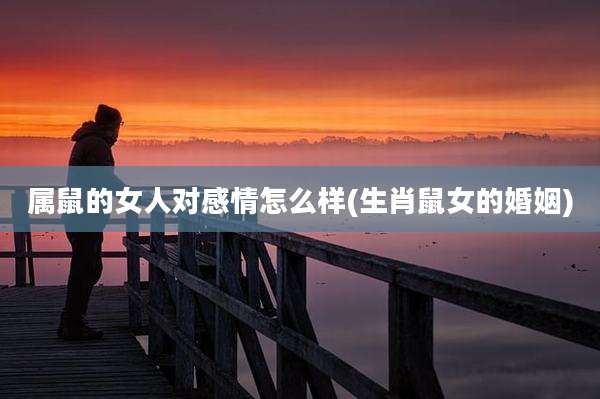 属鼠的女人对感情怎么样(生肖鼠女的婚姻)
