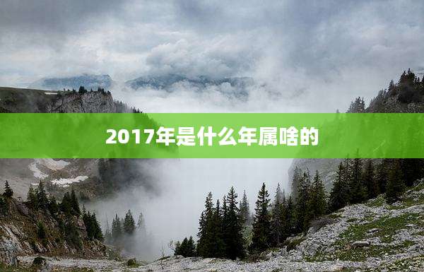 2017年是什么年属啥的