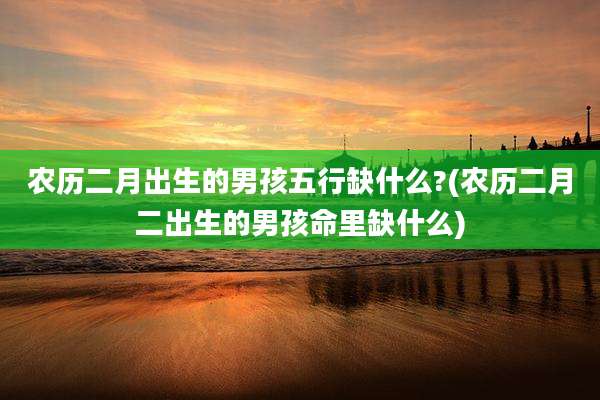 农历二月出生的男孩五行缺什么?(农历二月二出生的男孩命里缺什么)