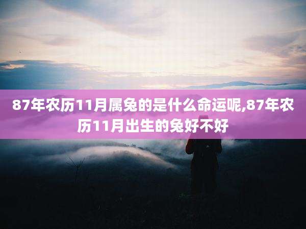 87年农历11月属兔的是什么命运呢,87年农历11月出生的兔好不好