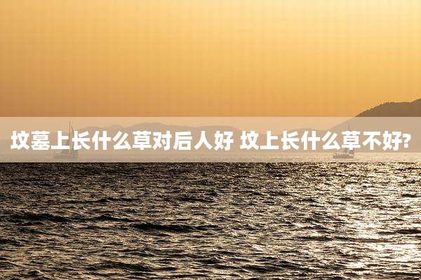 坟墓上长什么草对后人好 坟上长什么草不好?