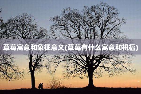 草莓寓意和象征意义(草莓有什么寓意和祝福)