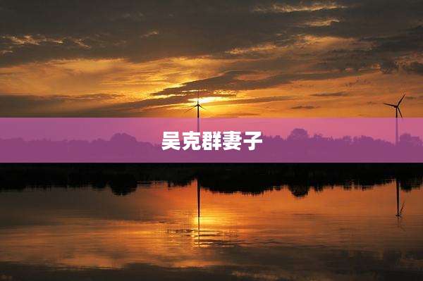 吴克群妻子