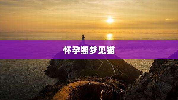 怀孕期梦见猫