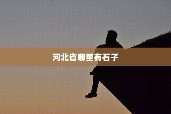 河北省哪里有石子
