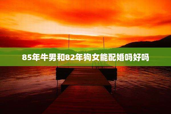 85年牛男和82年狗女能配婚吗好吗