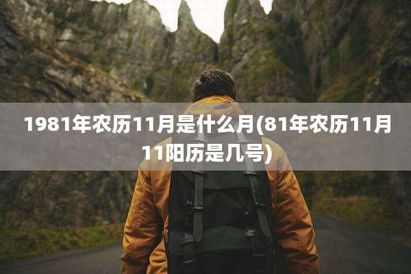 1981年农历11月是什么月(81年农历11月11阳历是几号)