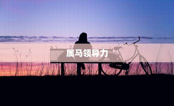 属马领导力