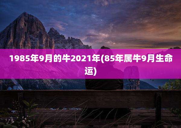 1985年9月的牛2021年(85年属牛9月生命运)