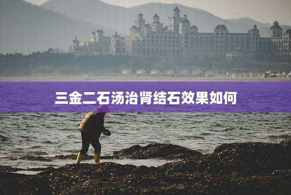 三金二石汤治肾结石效果如何
