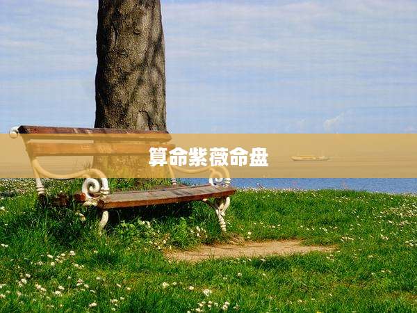 算命紫薇命盘