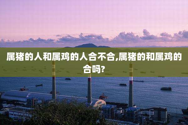 属猪的人和属鸡的人合不合,属猪的和属鸡的合吗?