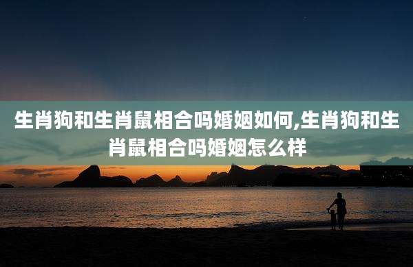 生肖狗和生肖鼠相合吗婚姻如何,生肖狗和生肖鼠相合吗婚姻怎么样