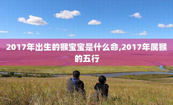 2017年出生的猴宝宝是什么命,2017年属猴的五行