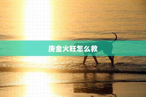 庚金火旺怎么救