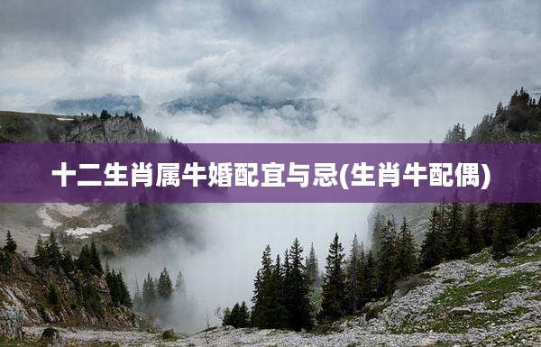 十二生肖属牛婚配宜与忌(生肖牛配偶)