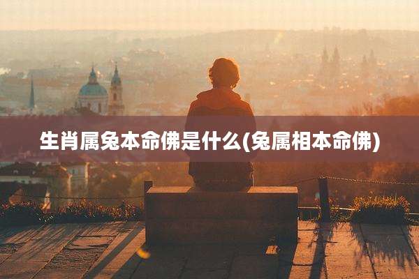 生肖属兔本命佛是什么(兔属相本命佛)