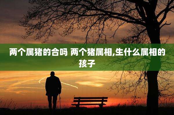 两个属猪的合吗 两个猪属相,生什么属相的孩子