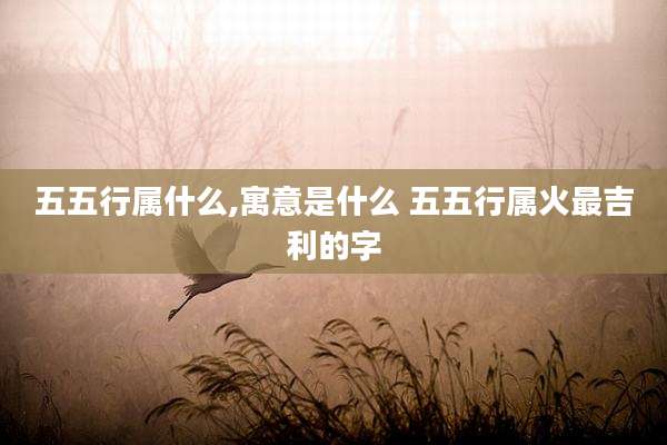 五五行属什么,寓意是什么 五五行属火最吉利的字