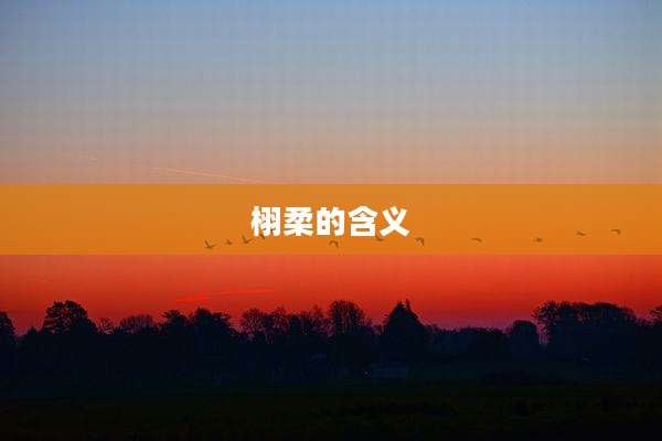 栩柔的含义
