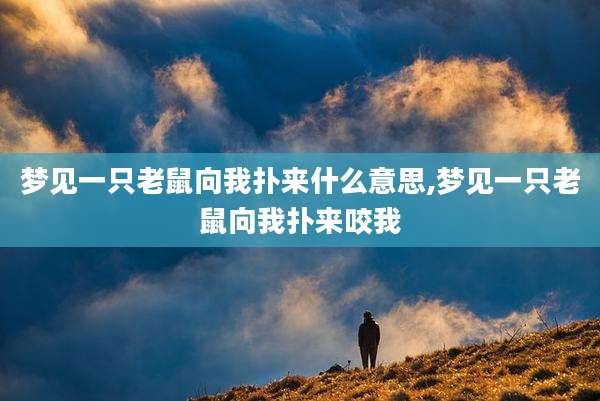 梦见一只老鼠向我扑来什么意思,梦见一只老鼠向我扑来咬我