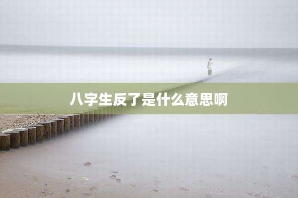 八字生反了是什么意思啊