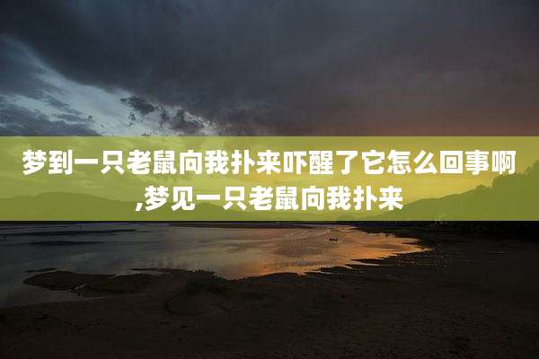 梦到一只老鼠向我扑来吓醒了它怎么回事啊,梦见一只老鼠向我扑来