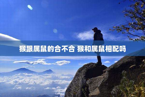 猴跟属鼠的合不合 猴和属鼠相配吗