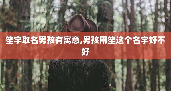 笙字取名男孩有寓意,男孩用笙这个名字好不好